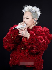 Vnet vỡ òa khi G Dragon trở lại Việt Nam biểu biễn