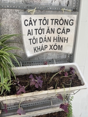 Ảnh vui 16-5: Ăn cây nào rào cây ấy