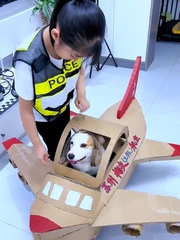 Bé gái cho chó cưng lái máy bay bìa cứng