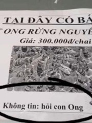 Ảnh vui 21-5: Mật ong rừng nguyên chất - Không tin 'hỏi... con ong'