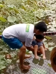 Hai bố con lọt xuống hồ sen khi ngồi trên chiếc giường lưới