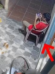 Bé trai mải mê chơi game, không biết rắn bò dưới chân
