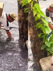 Thanh niên lên thành phố vẫn 'nhớ nghề' ở quê