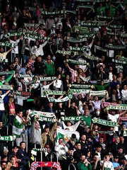 CLB Elche cấm fan ăn hạt hướng dương trên sân vì sợ… chuột