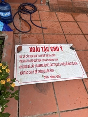 Ảnh vui 16-6: Xoài tặc hết đường hoành hành rồi nhá