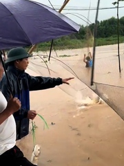 Kéo vó bắt cá khủng mùa mưa lũ ở Thái Nguyên
