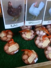 Ảnh vui 11-7: 'Nhà máy sản xuất' trứng bao uy tín