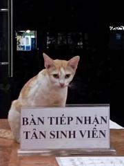 Ảnh vui 13-7: Tiếp nhận sinh viên mà mặt này hơi quạu nha!