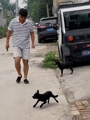Chàng trai giả tiếng 'chó đại ca' hù hai cậu mực sợ hú hồn