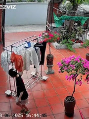Vỡ chậu cây liên tục: Cái sân hay chủ nhà bất ổn?