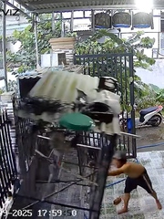 Đàn chim 'cảm ơn ông chủ vì được phóng sinh'