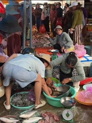 Khách hú hồn khi bị cua kẹp