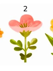 Quiz: Tài năng của bạn là gì?
