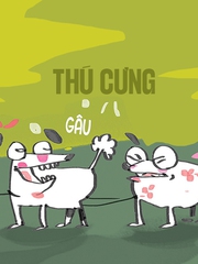 Chấp nhận cho thú cưng vào quán cà phê hay không?