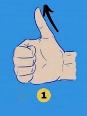 Quiz: Bạn nhạy cảm hay là người thực tế và logic