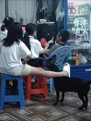Ảnh vui 17-9: 'Không biết nên cho nhỏ này 3 mũi không ta?'