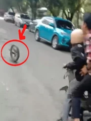 Hai thanh niên hướng nội vì màn thể hiện không thể xấu hổ hơn