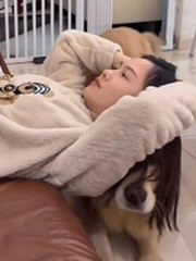 Chú chó vội vàng chạy đến đỡ vì sợ cô chủ ngã