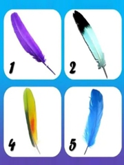 Quiz: Bạn thông minh, ham học hỏi hay là người giàu lòng trắc ẩn