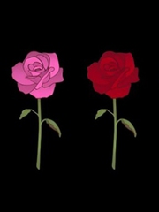 Quiz: Bạn đang cần gì nhất lúc này cho cuộc sống của mình