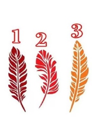 Quiz: Bạn năng động, dễ thích nghi hay là người nhạy bén, sáng tạo