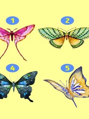 Quiz: Bạn là người lý trí, chín chắn hay sôi nổi, nhiệt huyết