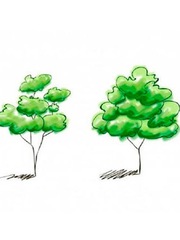 Quiz: Bạn giàu lòng vị tha hay là người chân thành