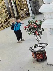 Bé trai nhảy theo nhạc không lệch nhịp nào siêu đáng yêu