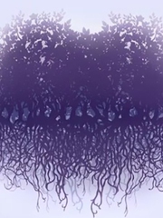 Quiz: Bạn là người tham vọng, luôn nhìn xa hơn người khác?