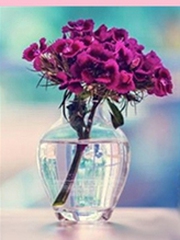 Quiz: Loài hoa yêu thích hé lộ bức tranh tương lai của bạn