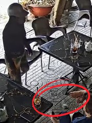 Pha nhặt tiền rơi khiến cõi mạng phải xem tận hai lần