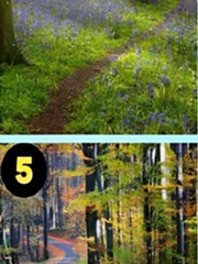 Quiz: Bạn nhân hậu hay là người mạnh mẽ, không ngại rủi ro