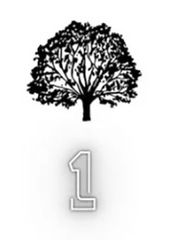 Quiz: Bạn cần thay đổi gì ở bản thân để cải thiện cuộc sống