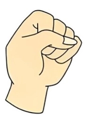 Quiz: Bạn sở hữu một trái tim nhân hậu, trung thực?