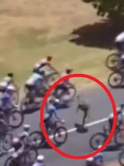 Kangaroo lao vào đoàn đua gây náo loạn ở Tour Down Under 2026