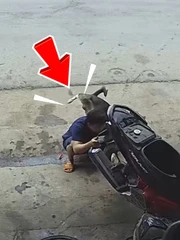 Ông chú sửa xe bị chó tè vào lưng