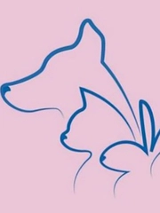 Quiz: Bạn có trách nhiệm cao hay là người tốt bụng, hào phóng