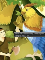 Giữa lúc giá vàng sục sôi, netizen kéo đi trồng khế, vì sao thế?