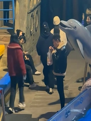 Cá heo dạy dỗ thanh niên hút thuốc trong thủy cung vì nhắc nhở không nghe