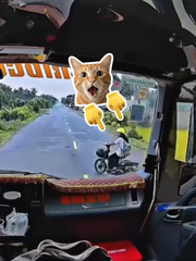 Cách hành xử tử tế của tài xế xe tải nhận cơn mưa lời khen