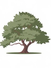 Quiz: Vì sao bạn hay tự ti về bản thân?