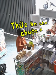 Tiệm cà phê bất ngờ hút khách mua thức ăn cho... chuột