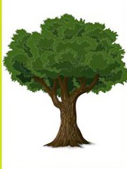 Quiz: Những điểm độc đáo trong tính cách của bạn là gì?