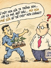 Giải pháp khắc chế mùi hoa sữa đậm đặc