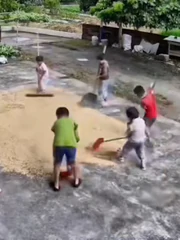 Các em nhỏ giúp nhau dọn lúa chạy mưa khi người lớn vắng nhà