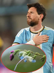 Loài hoa vừa mang tên Messi đã sắp… tuyệt chủng