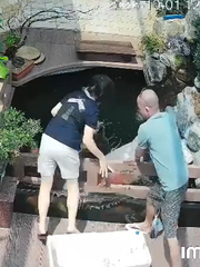 Chị gái 'hóa tiên cá' vì gia chủ làm tiểu cảnh không chắc chắn