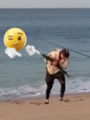 Pha bắt cá khi ai xem cũng 'tức cái lồng ngực'