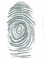 Quiz: Hình dạng dấu vân tay ngón cái tiết lộ bạn là người thế nào?