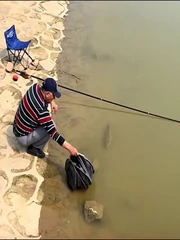 Con cá chán chường với cuộc sống, bơi lại gần bờ cho cần thủ bắt